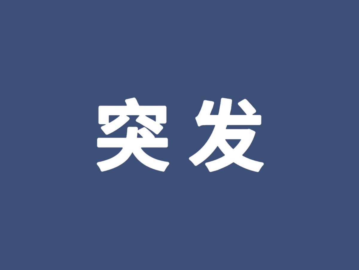 非法占用38亿！上市大卖财报造假被罚款停牌相关图片